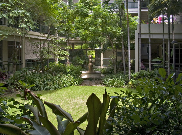Mercy Cenre Courtyard