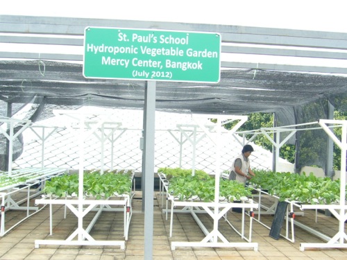 hydroponic garden